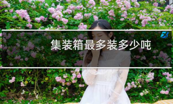 集装箱最多装多少吨