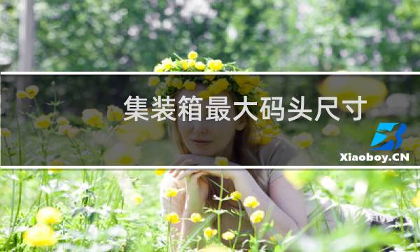 集装箱最大码头尺寸