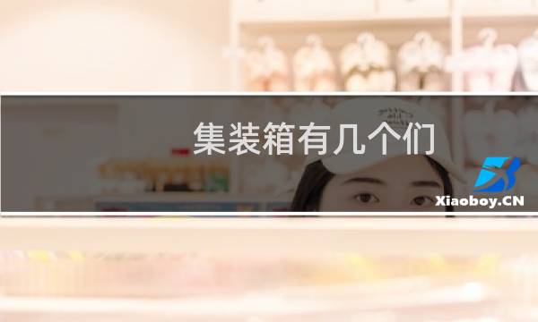 集装箱有几个们