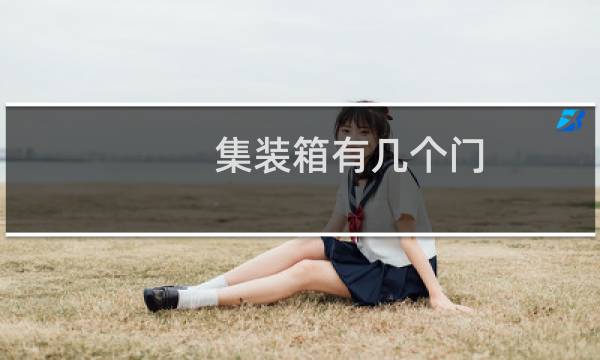 集装箱有几个门