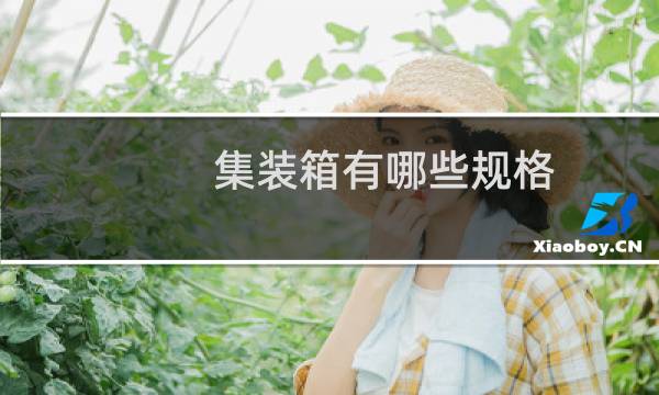 集装箱有哪些规格