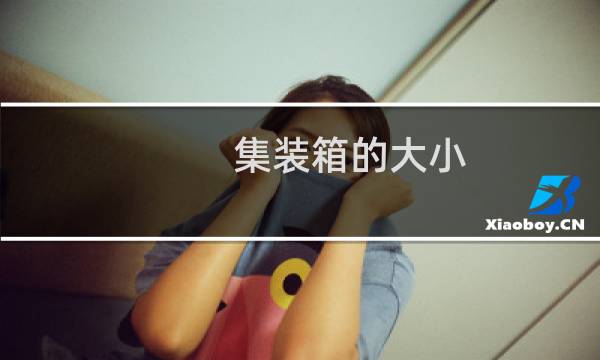 集装箱的大小