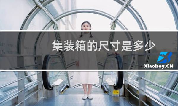 集装箱的尺寸是多少