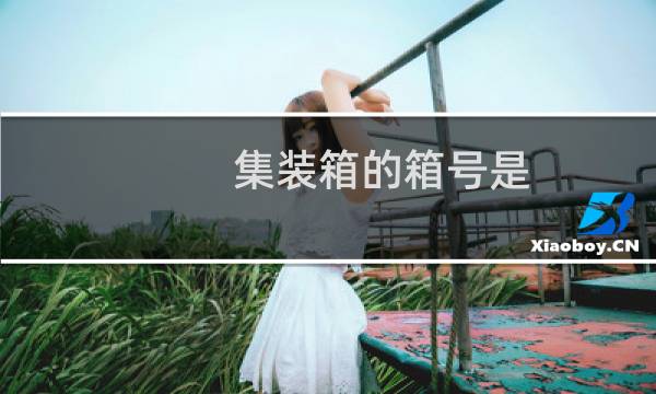 集装箱的箱号是