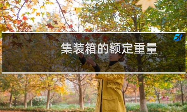 集装箱的额定重量