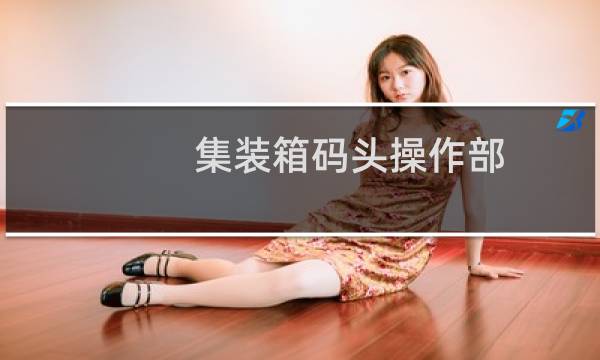 集装箱码头操作部