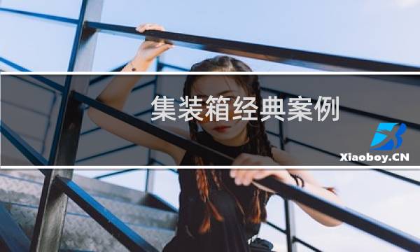 集装箱经典案例