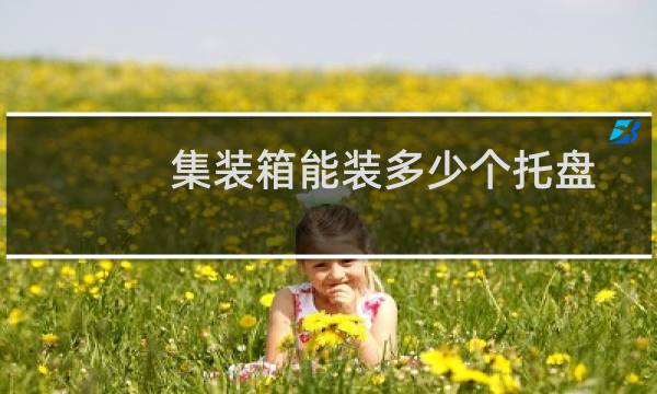 集装箱能装多少个托盘