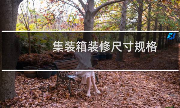 集装箱装修尺寸规格