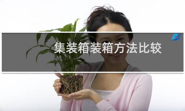 集装箱装箱方法比较