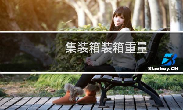 集装箱装箱重量