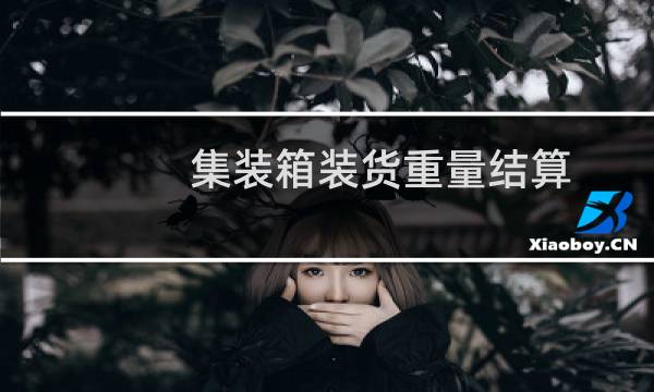 集装箱装货重量结算