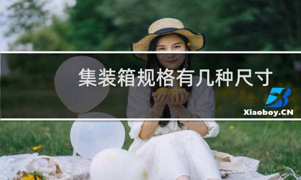 集装箱规格有几种尺寸