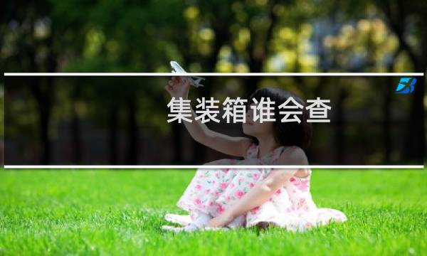 集装箱谁会查