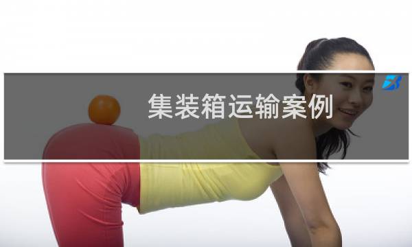 集装箱运输案例