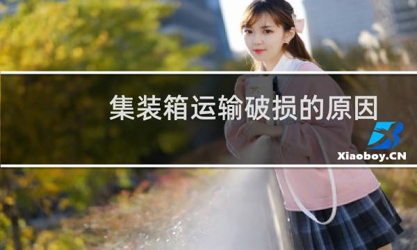 集装箱运输破损的原因