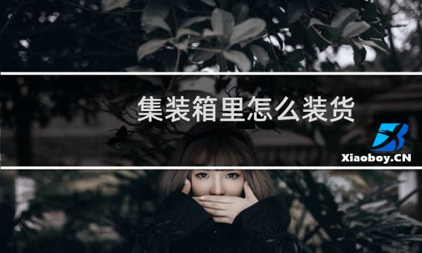 集装箱里怎么装货