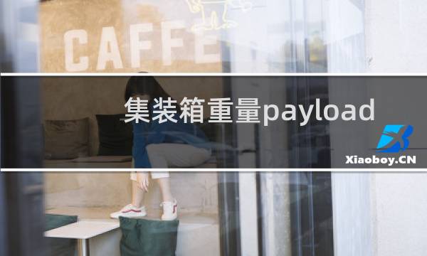 集装箱重量payload