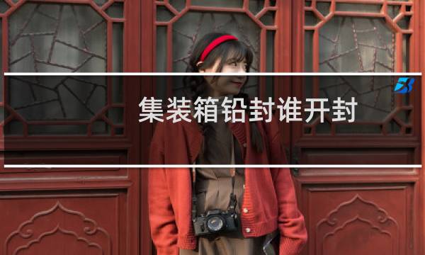 集装箱铅封谁开封