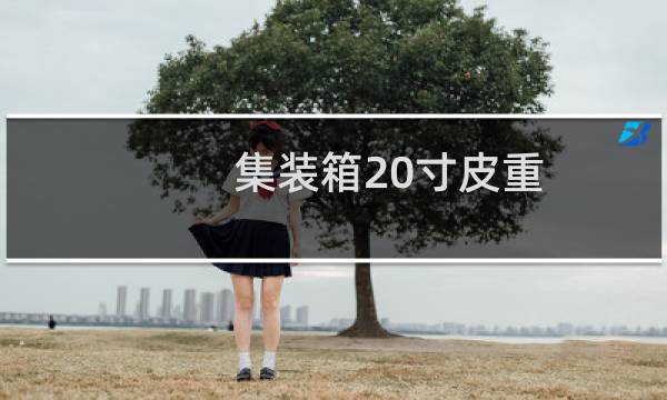 集装箱20寸皮重