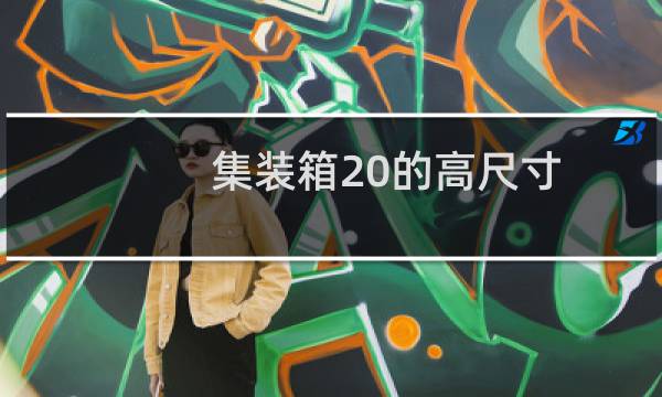 集装箱20的高尺寸