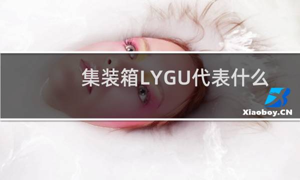 集装箱LYGU代表什么