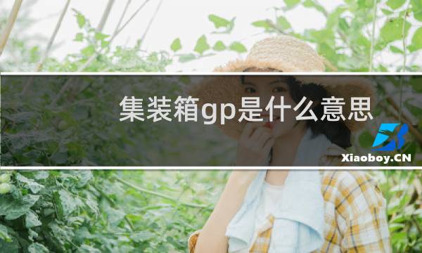 集装箱gp是什么意思