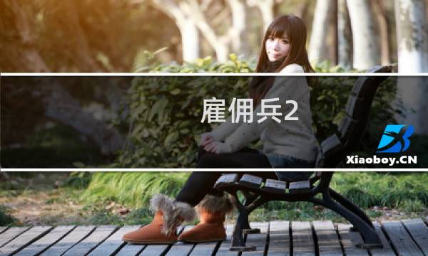 雇佣兵2 攻略