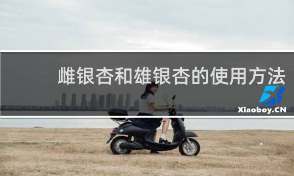 雌银杏和雄银杏的使用方法