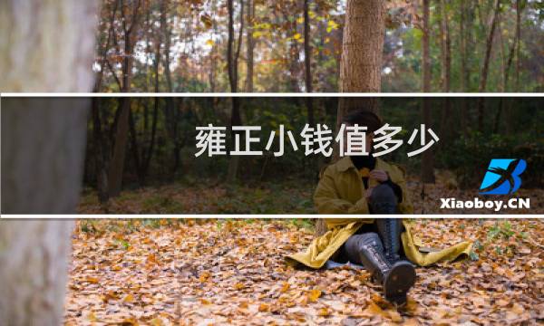 雍正小钱值多少