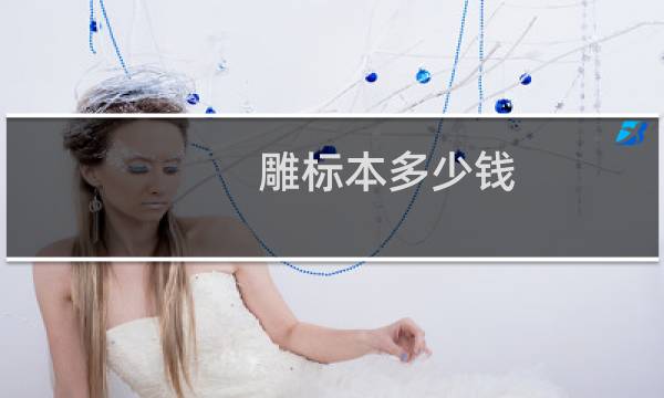 雕标本多少钱