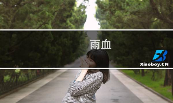 雨血 攻略