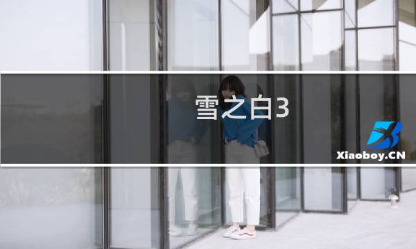 雪之白3.0攻略