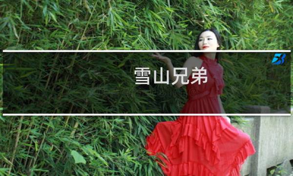 雪山兄弟 攻略