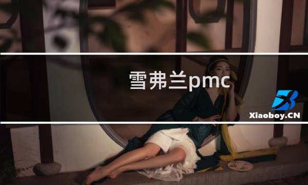 雪弗兰pmc 多少钱