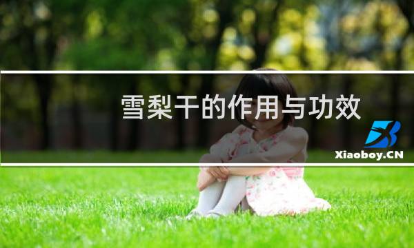 雪梨干的作用与功效