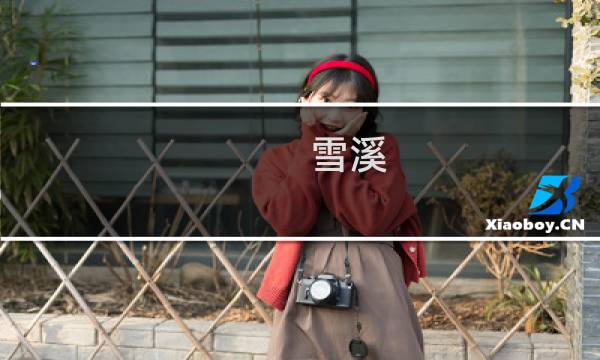 雪溪 画家价格多少钱