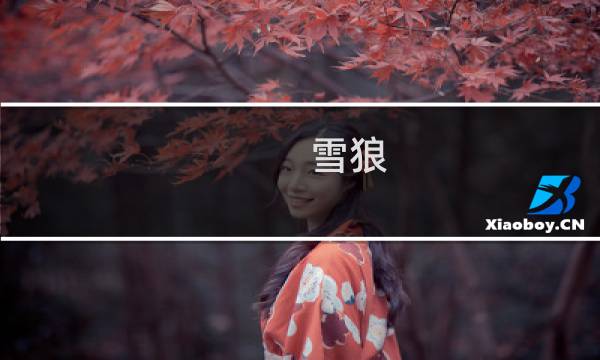 雪狼 小队攻略