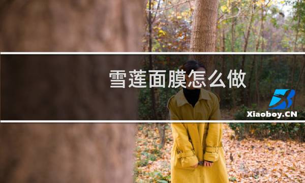雪莲面膜怎么做