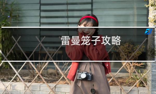 雷曼笼子攻略