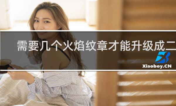 需要几个火焰纹章才能升级成二级