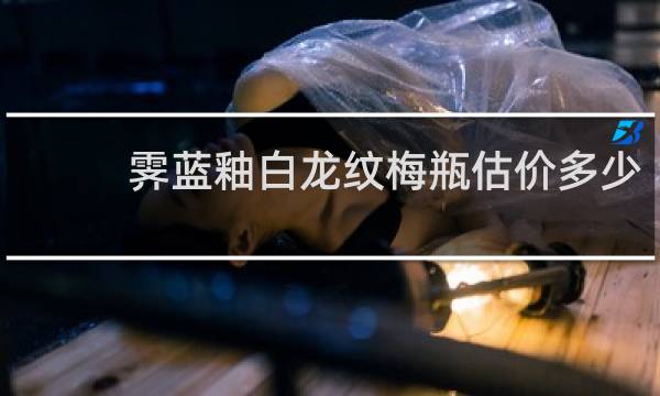 霁蓝釉白龙纹梅瓶估价多少