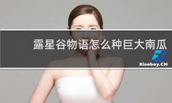 露星谷物语怎么种巨大南瓜