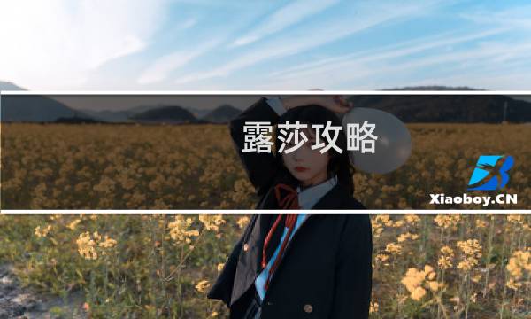 露莎攻略