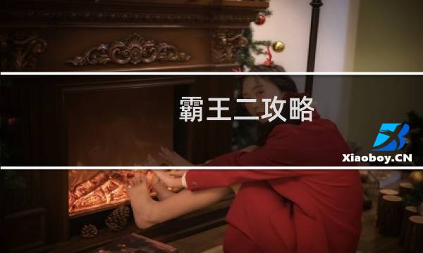 霸王二攻略