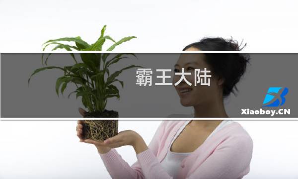 霸王大陆 攻略