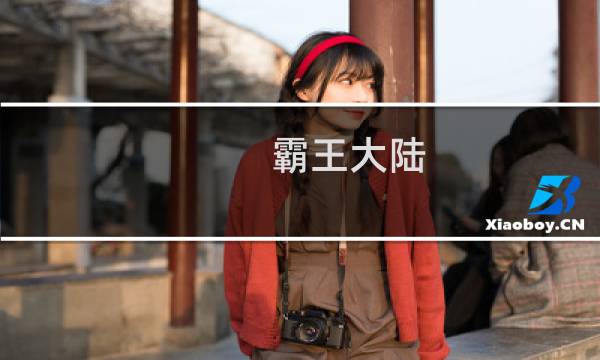 霸王大陆 群雄起源 攻略