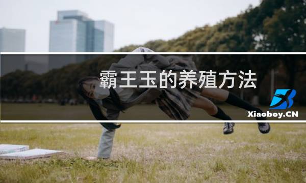 霸王玉的养殖方法