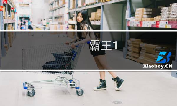 霸王1  攻略
