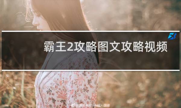 霸王2攻略图文攻略视频